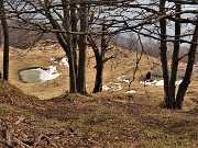 44 Vista sui pascoli della Baita Alta del Sornadello (1407 m)